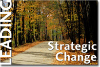 Leading Strategic Change